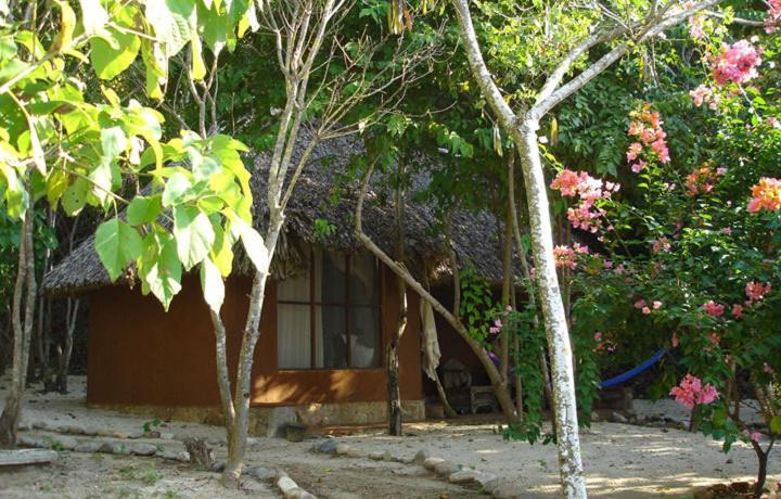 Hotel Bahia De La Luna Arroyo Cruz Εξωτερικό φωτογραφία