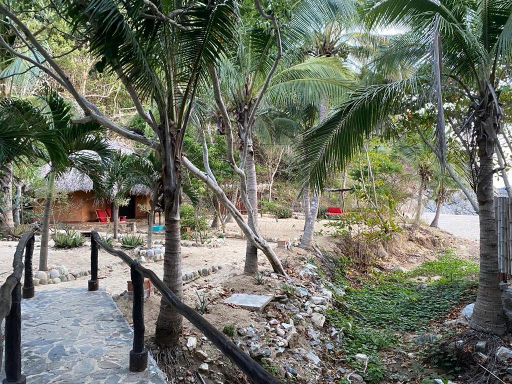 Hotel Bahia De La Luna Arroyo Cruz Εξωτερικό φωτογραφία