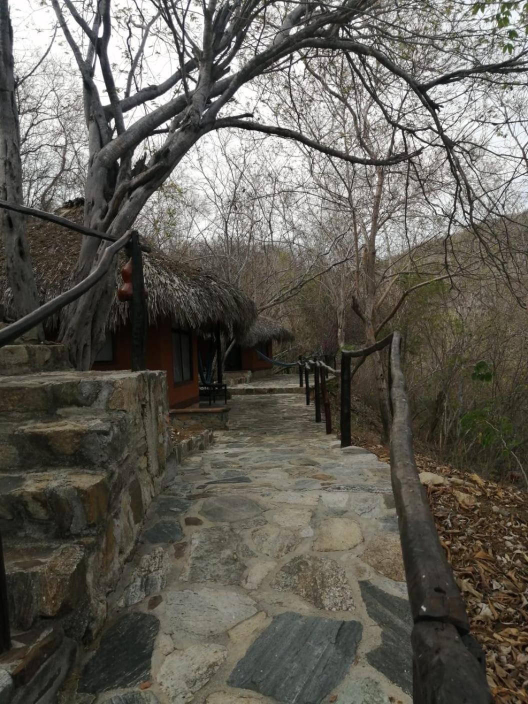 Hotel Bahia De La Luna Arroyo Cruz Εξωτερικό φωτογραφία