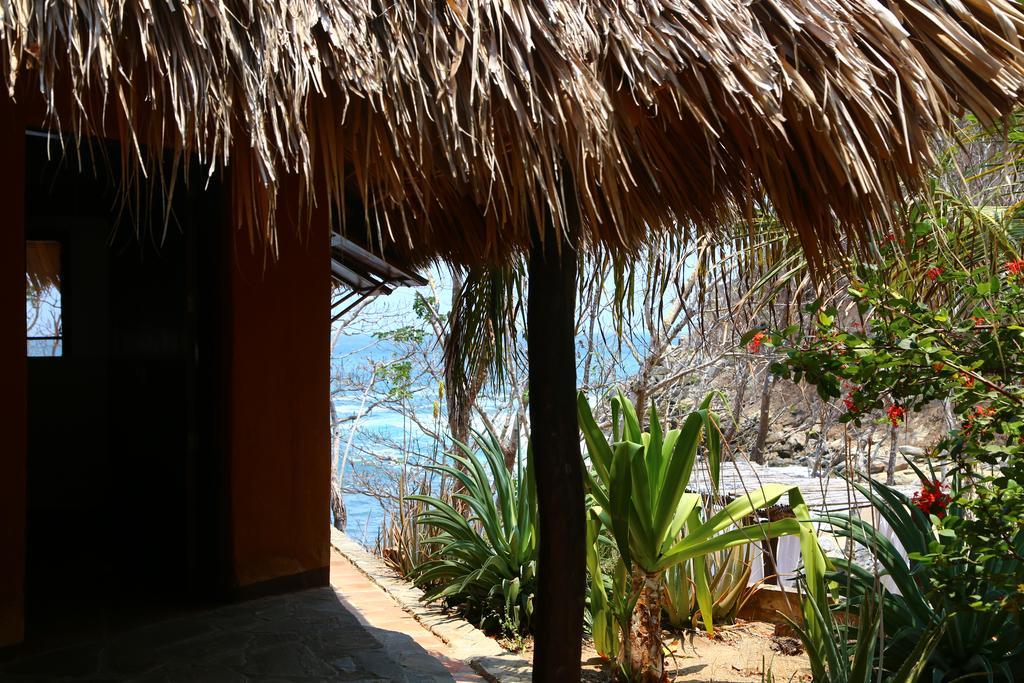 Hotel Bahia De La Luna Arroyo Cruz Εξωτερικό φωτογραφία