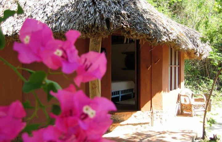Hotel Bahia De La Luna Arroyo Cruz Εξωτερικό φωτογραφία