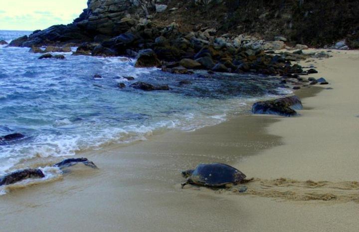 Hotel Bahia De La Luna Arroyo Cruz Εξωτερικό φωτογραφία